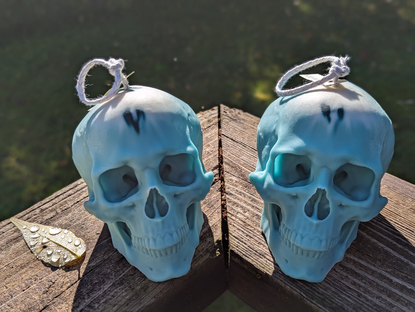 Skull Candle